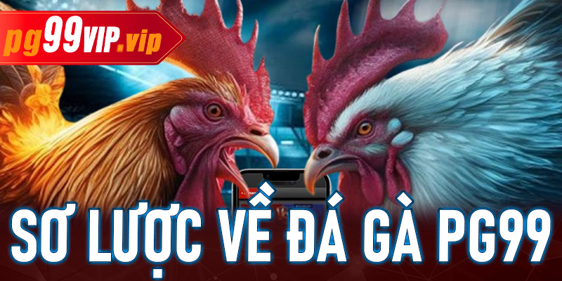 Sơ lược một số thông tin về sảnh chơi đá gà Pg99