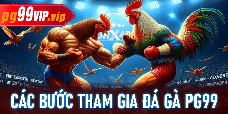 Các bước tiến hành tham gia cá cược tại đá gà Pg99