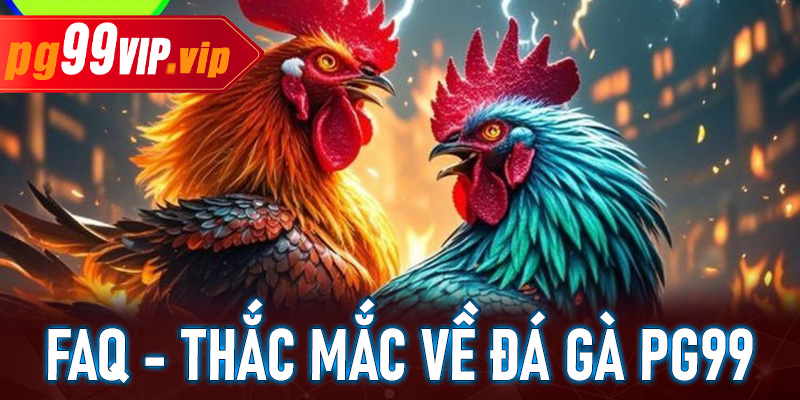 FAQ - Giải đáp nhanh những thắc mắc phổ biến tại sảnh đá gà PG99